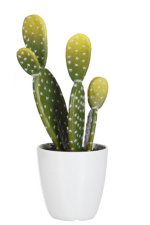 Cactus 3 plantes en plastic