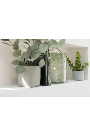 Plante Eucalyptus en plastique