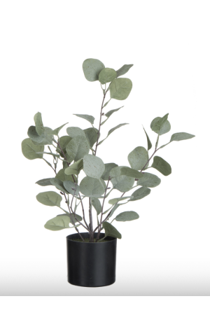 Plante Eucalyptus en plastique