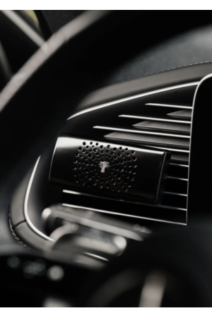 DIFFUSEUR DE VOITURE BLACK PEARLS